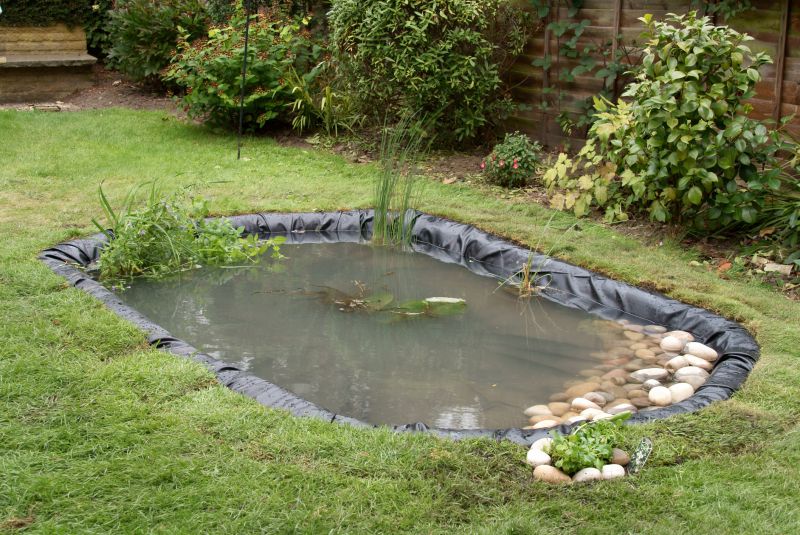 Pond Installation detail