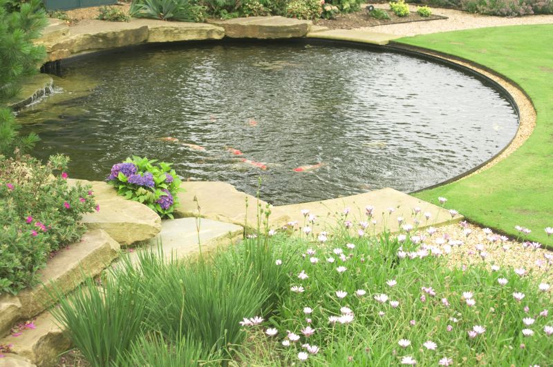 Who Does Pond Installations