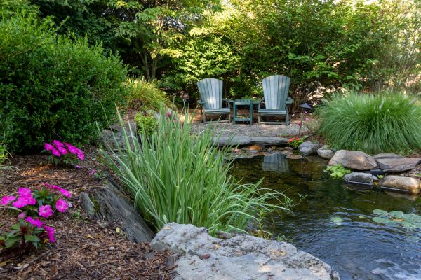 Pond Construction in Abilene