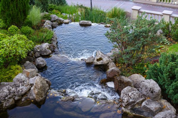 Water Garden Landscaping in Abilene