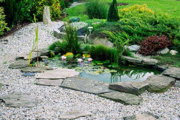 Water Garden Construction in Abilene